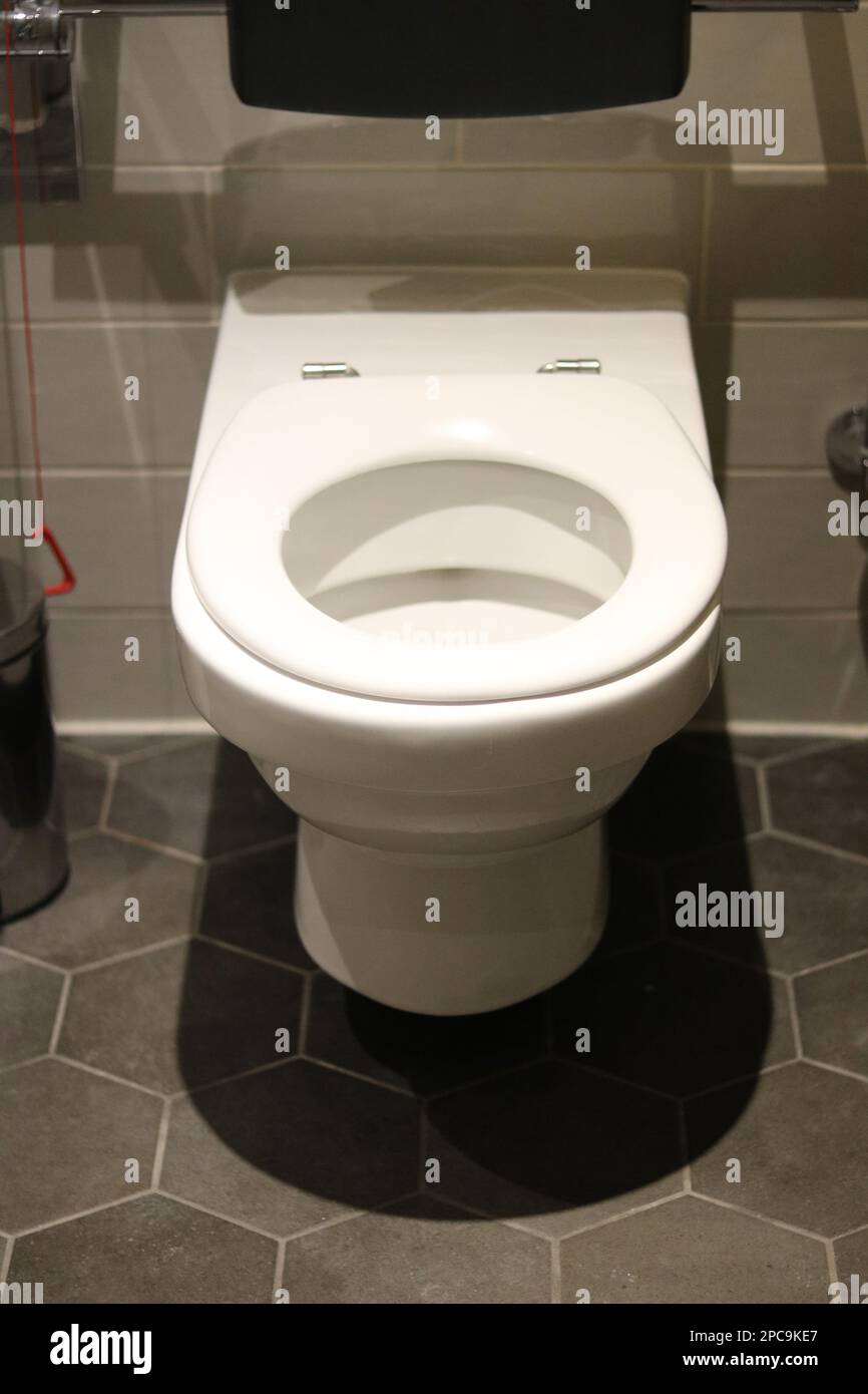 Plain white accessible toilet with back rest and red emergency cord