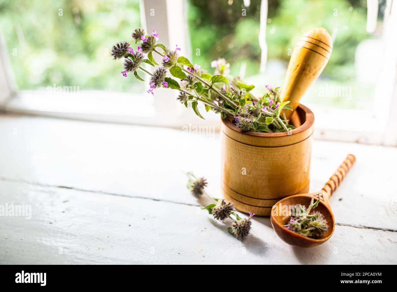 Still life with a bouquet of flowering Gemeiner Wirbeldost, Clinopodium vulgare, wild basil on an old vintage windowsill with wooden frames Stock Photo