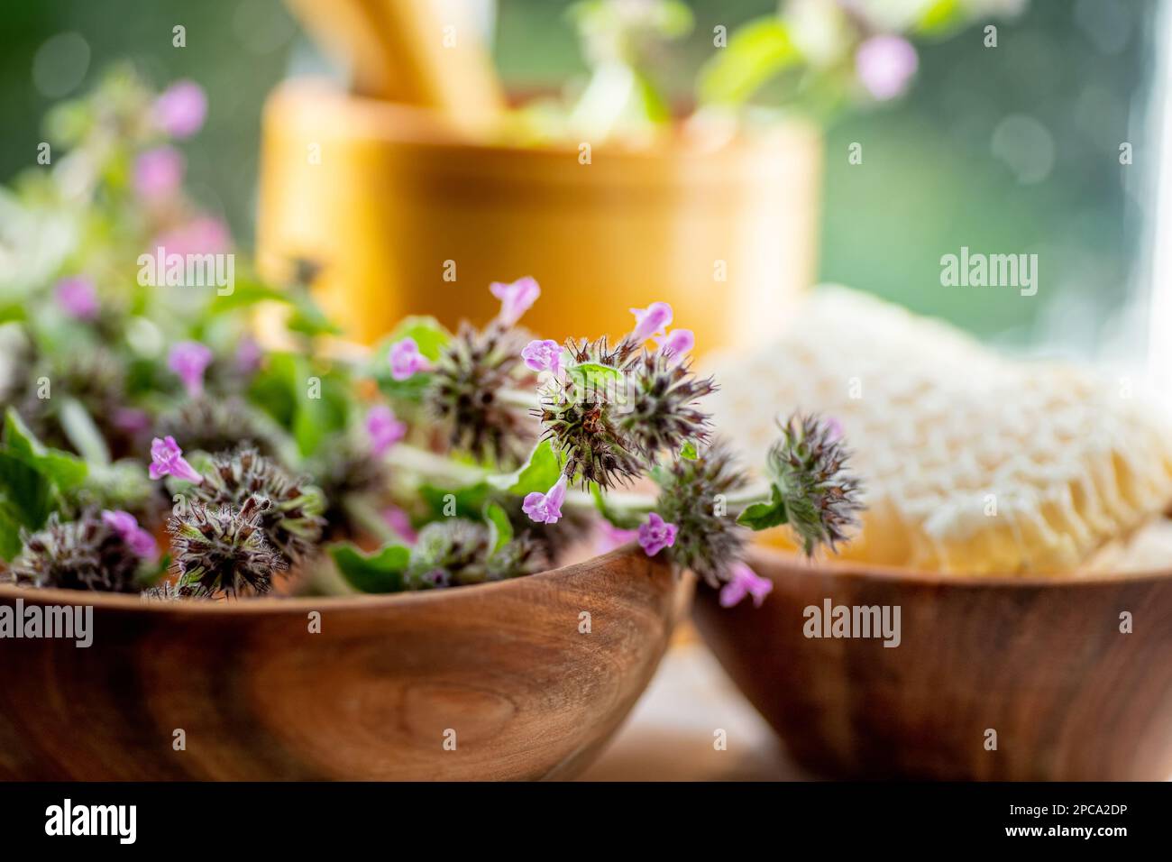 Wooden eco plate with pink flowers Wild Basil or Clinopodium vulgare of a medicinal plant collected during flowering in summer Stock Photo