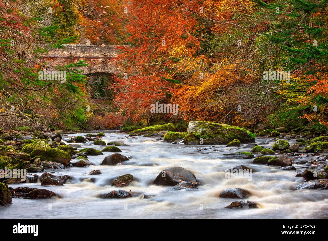 River Findhorn and Logie bridge in autumn near Forres, Moray, Scotland, United Kingdom Stock Photo