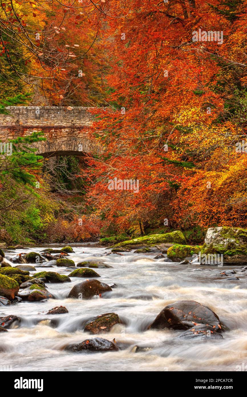 River Findhorn and Logie bridge in autumn near Forres, Moray, Scotland, United Kingdom Stock Photo