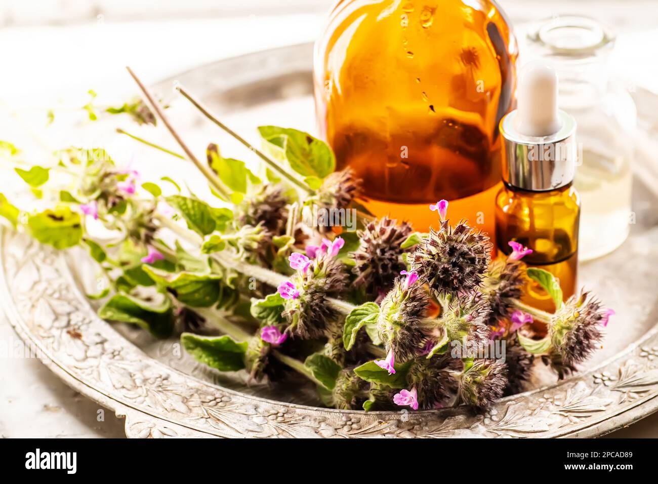 Still life with a bouquet of flowering Clinopodium vulgare, wild basil on an old vintage windowsill with wooden frames Stock Photo