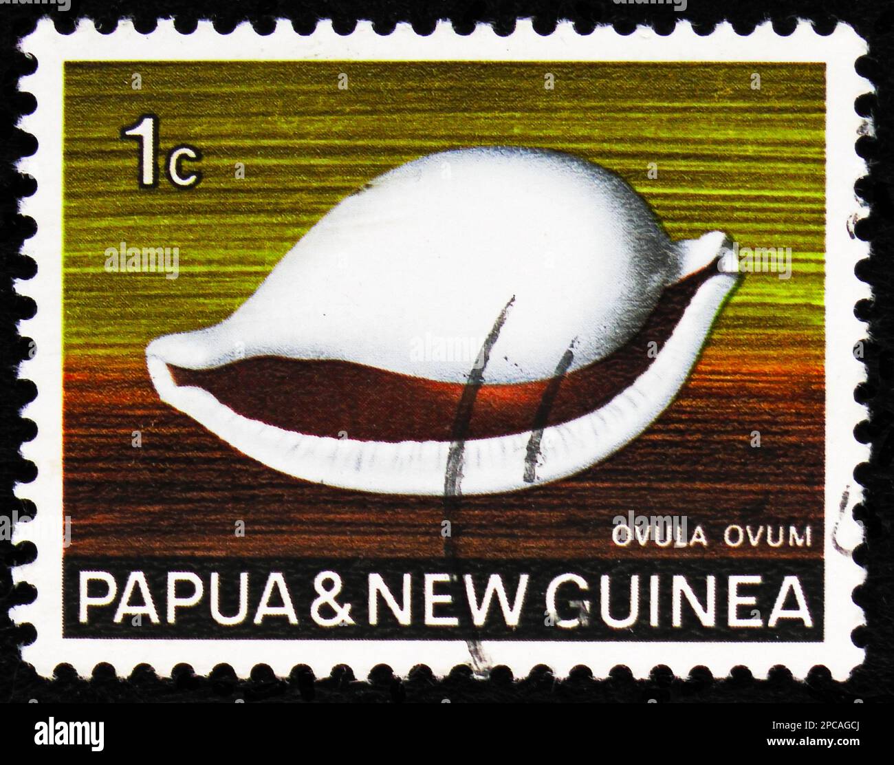 MOSCOW, RUSSIA - FEBRUARY 15, 2023: Postage stamp printed in Papua New Guinea shows Common Egg Cowry (Ovula ovum), Seashells Definitives serie, circa Stock Photo