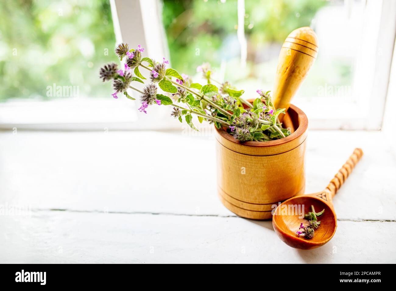 Still life with a bouquet of flowering Gemeiner Wirbeldost, Clinopodium vulgare, wild basil on an old vintage windowsill with wooden frames Stock Photo