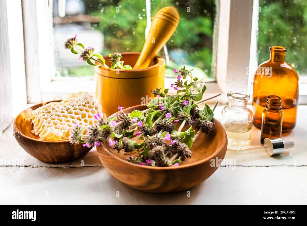 Wooden eco plate with pink flowers Wild Basil or Clinopodium vulgare of a medicinal plant collected during flowering in summer Stock Photo