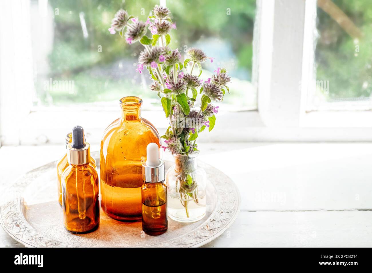Flowers Wild basil , Clinopodium vulgare or Satureja vulgaris close-up near cosmetic bottles with a pipette and oils made from medicinal herbs. Stock Photo