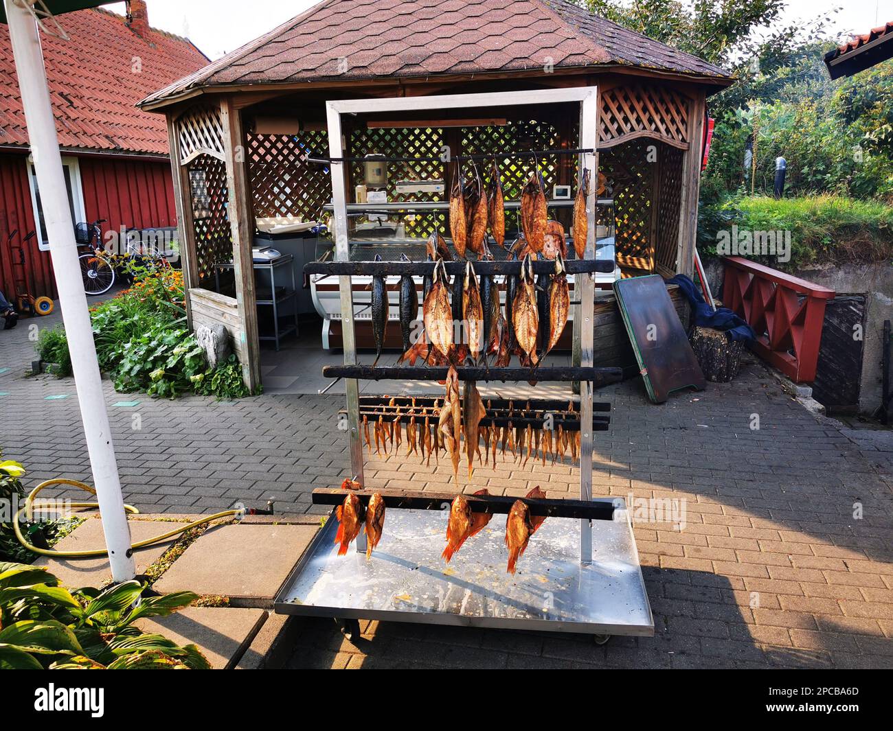 Freshly caught sea fish smoker in Nida, Lithuania. Fish smoked with