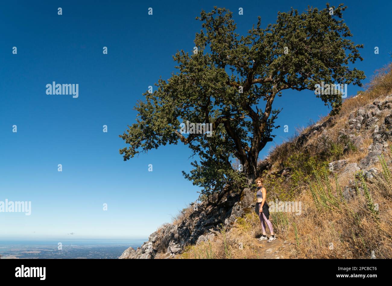 Fremont Peak State Park in California Stock Photo Alamy