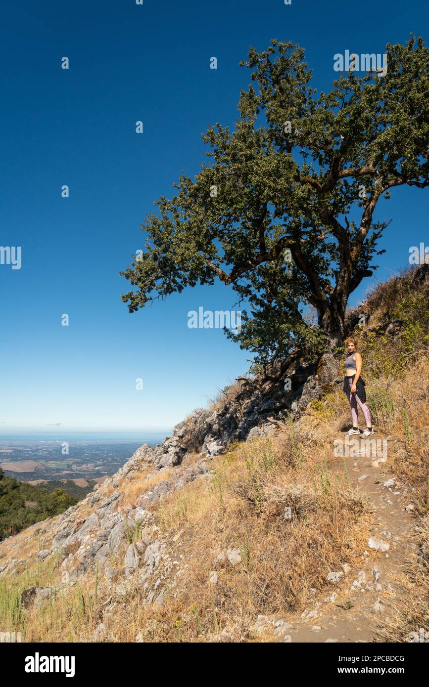 Fremont Peak State Park in California Stock Photo Alamy