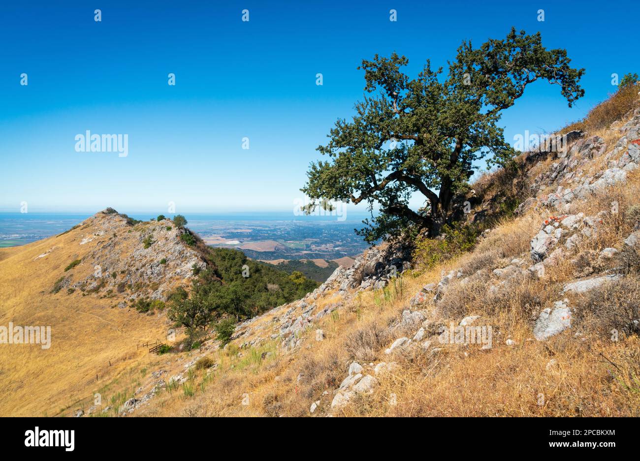 Fremont Peak State Park in California Stock Photo Alamy
