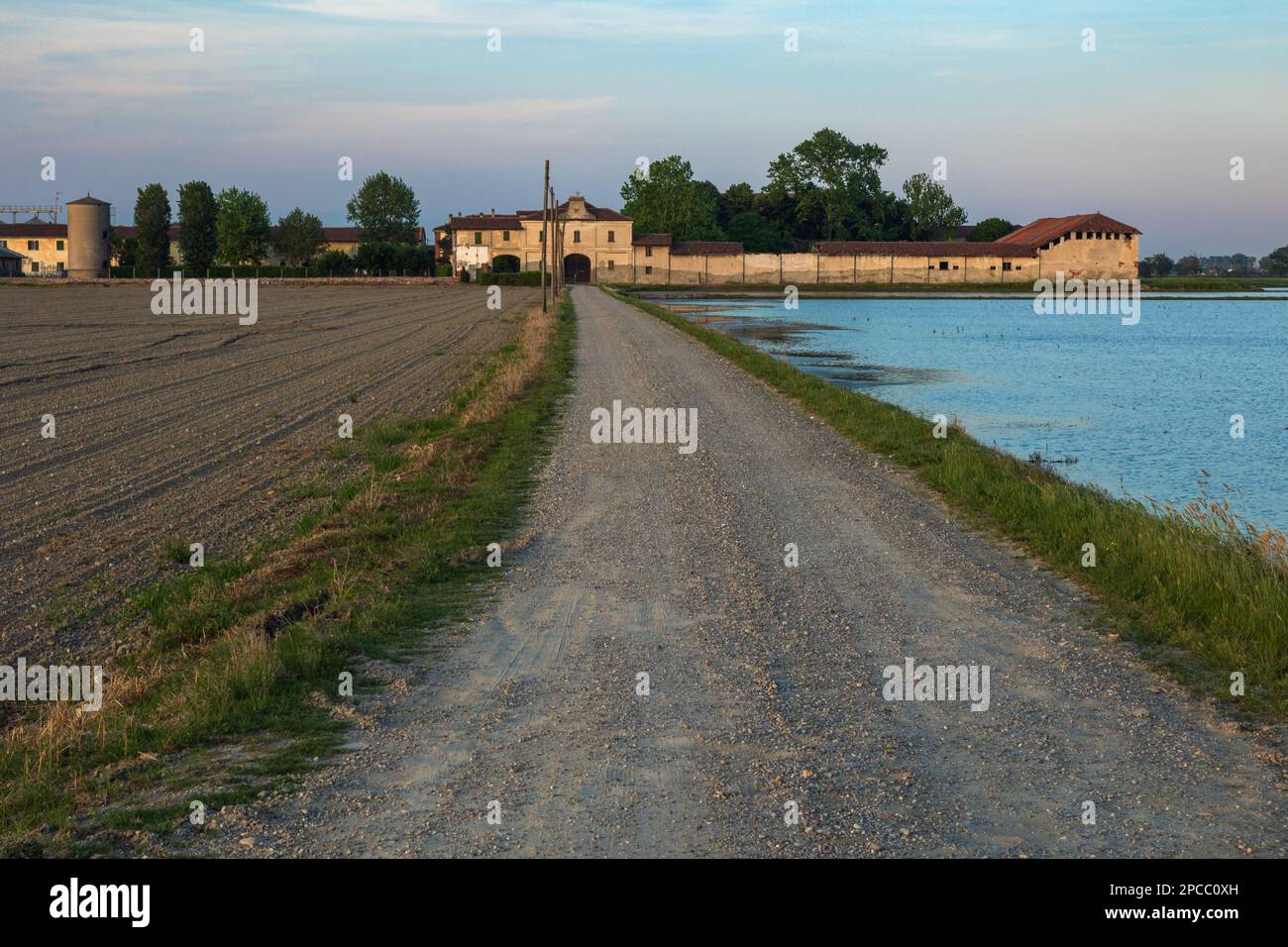 Risaie hi-res stock photography and images - Alamy