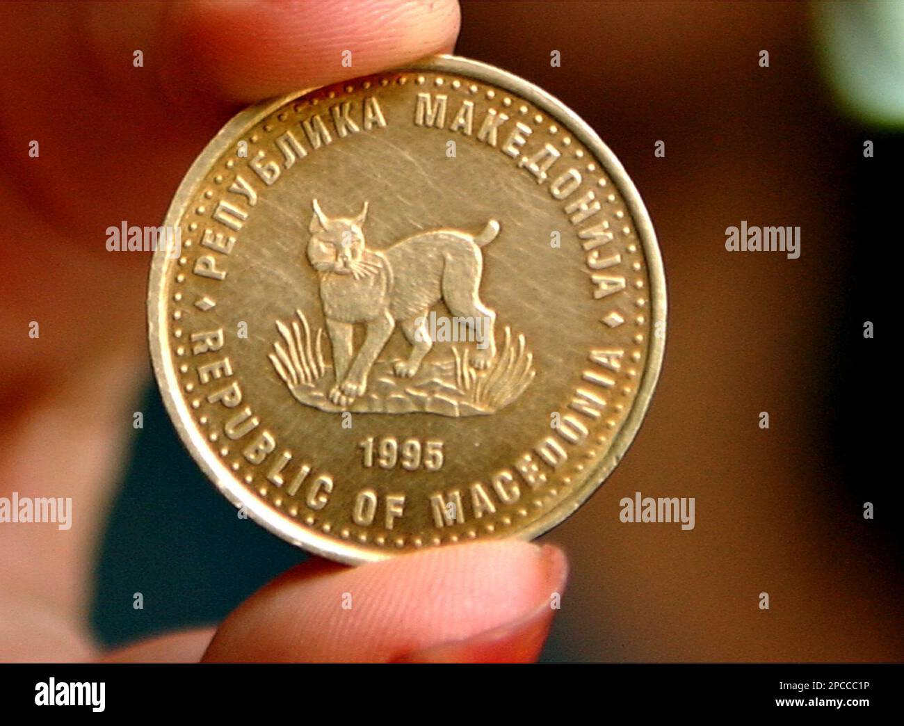 Balkan lynx, a national symbol, is seen engraved on the reverse of the five  denar coin. Lynx is what the Macedonians are proud of, aware that two dozen  pairs believed that are