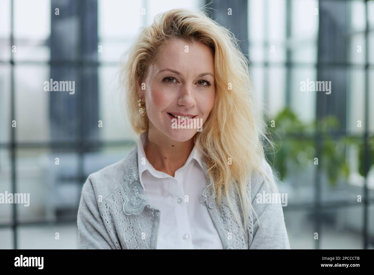 Portrait of a young beautiful business woman in the office Stock Photo ...