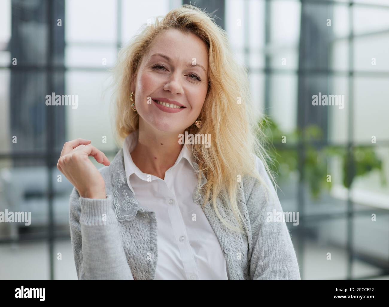 Portrait of a young beautiful business woman in the office Stock Photo ...
