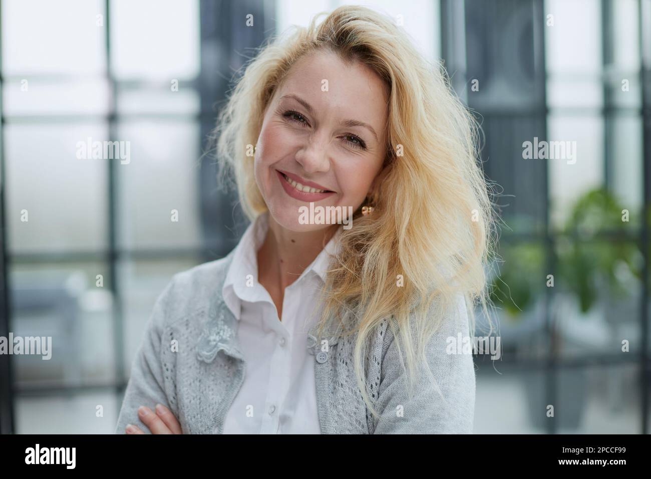 Portrait of a young beautiful business woman in the office Stock Photo ...