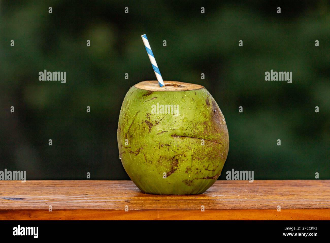 Coconut candlestick in blue main image 1