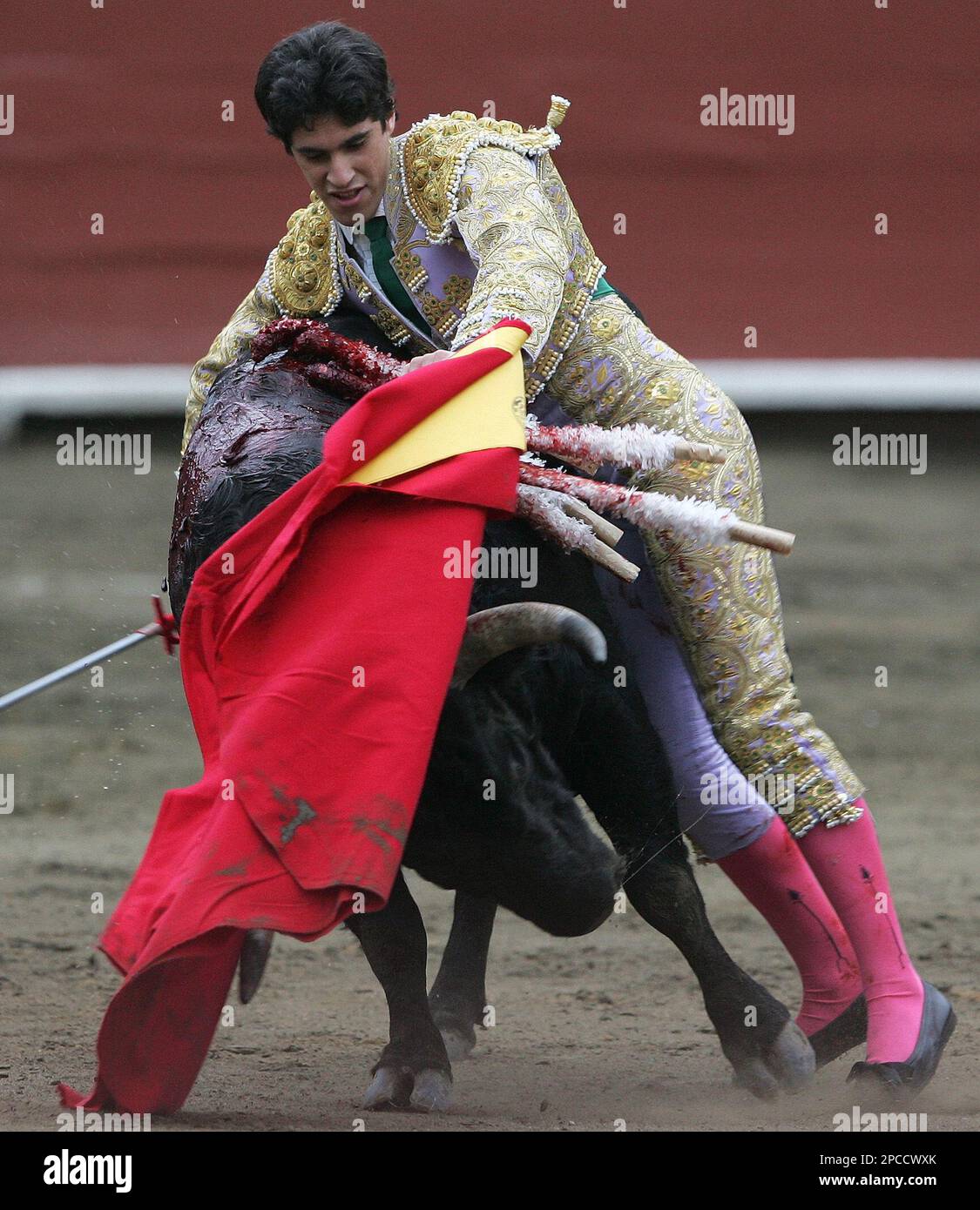 A bull passes by Spanish bullfighter Alejandro Talavante , during 
