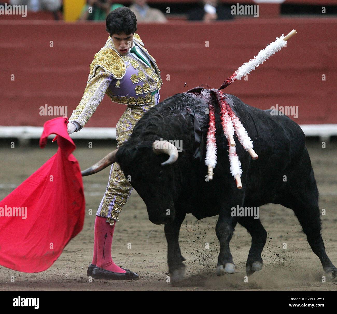 A bull passes by Spanish bullfighter Alejandro Talavante, during 'Senor 