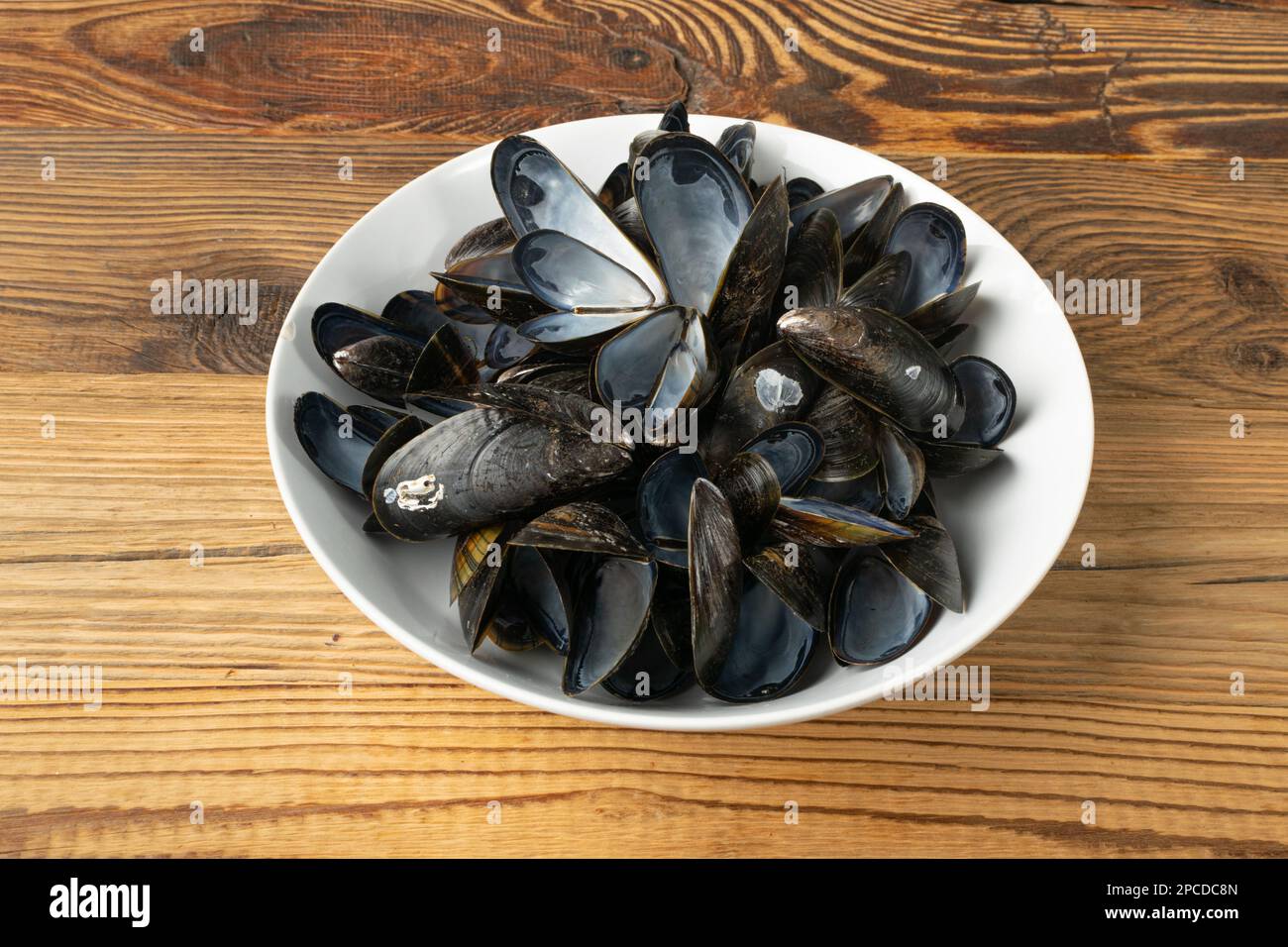 Empty Mussels Shell, Black Clams Shells, Eaten Mollusc, Empty Shellfishes, Seafood Leftovers