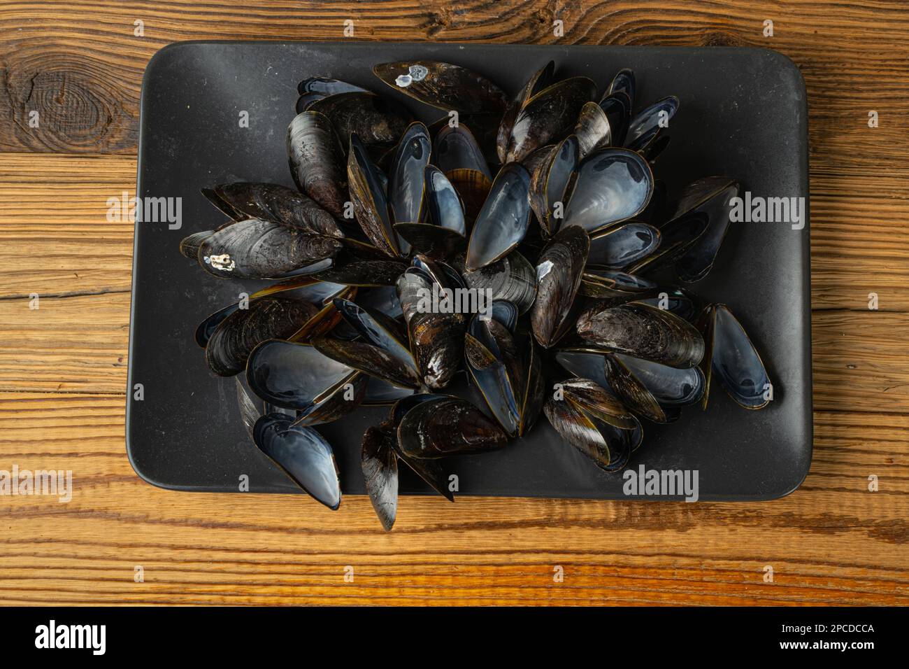 Empty Mussels Shell, Black Clams Shells, Eaten Mollusc, Empty
