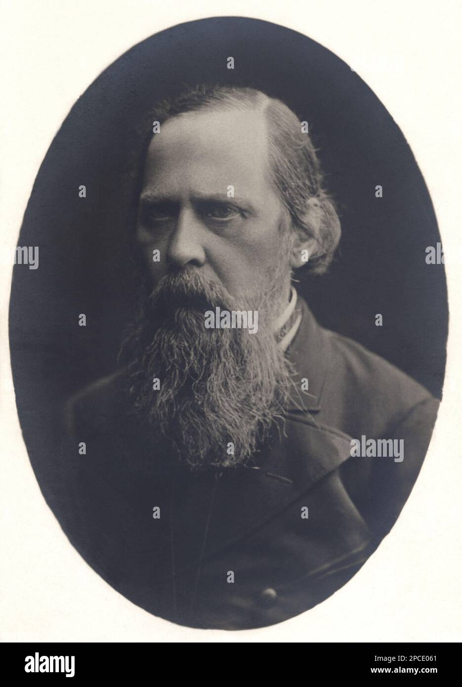 The russian satirist writer Mikhail Yevgrafovich Saltykov-Shchedrin ...