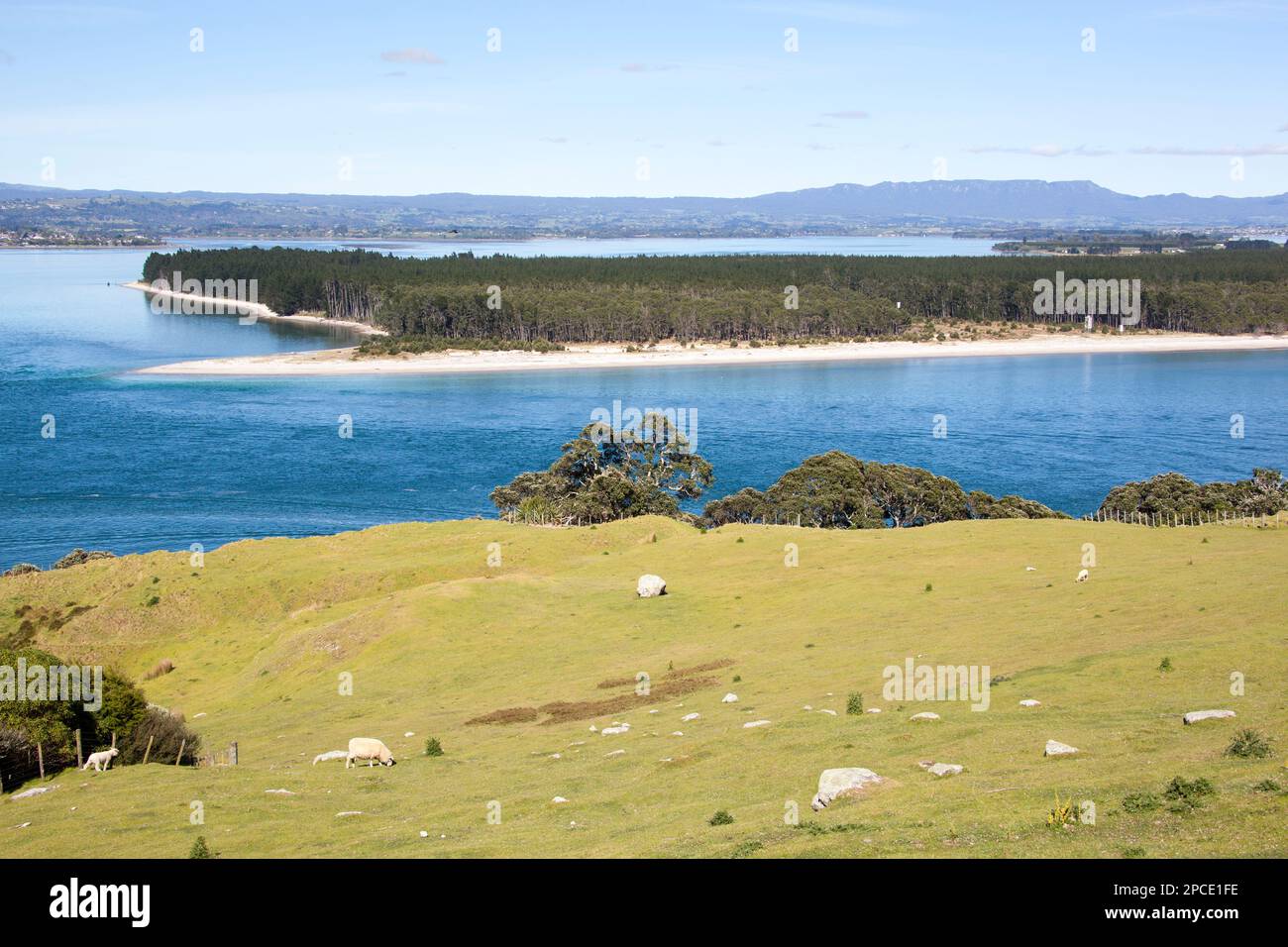 The aerial view of Matakana island from Mount Maunganui resort town