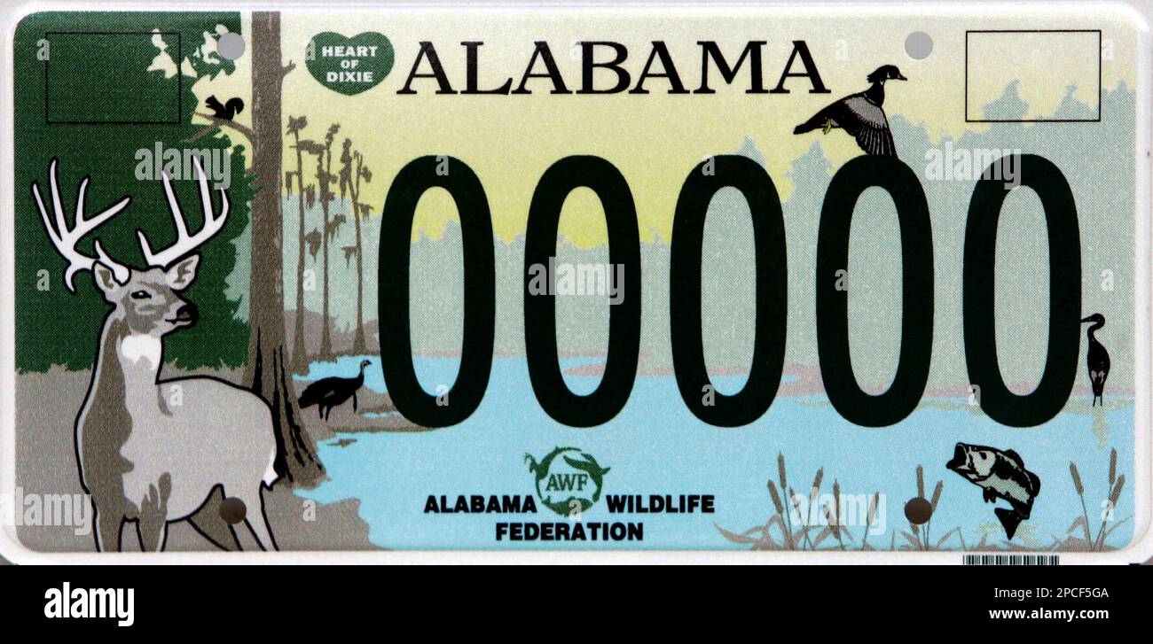 An example of the new flat Alabama license plate is shown during a news