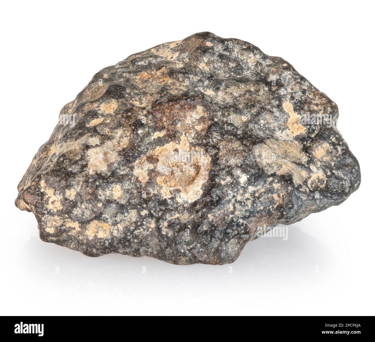 Carbonaceous chondrite meteorite, Northwest Africa 7454 (NWA 7454,  CV3) Stock Photo