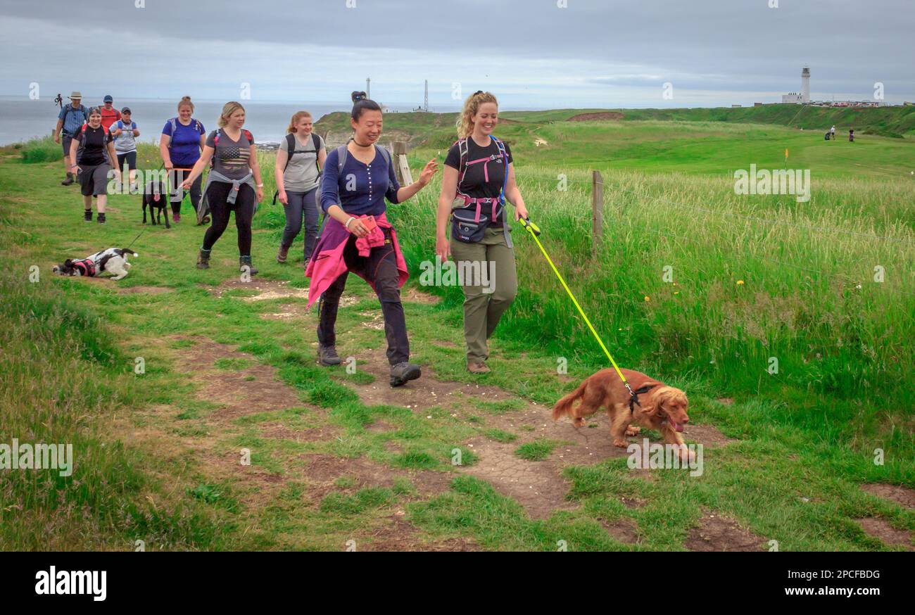 Females and friends dog walking Stock Photo