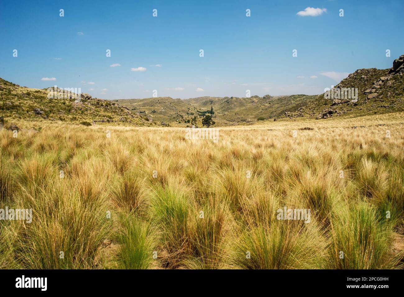 Landscape mountain hills rest hi-res stock photography and images - Alamy