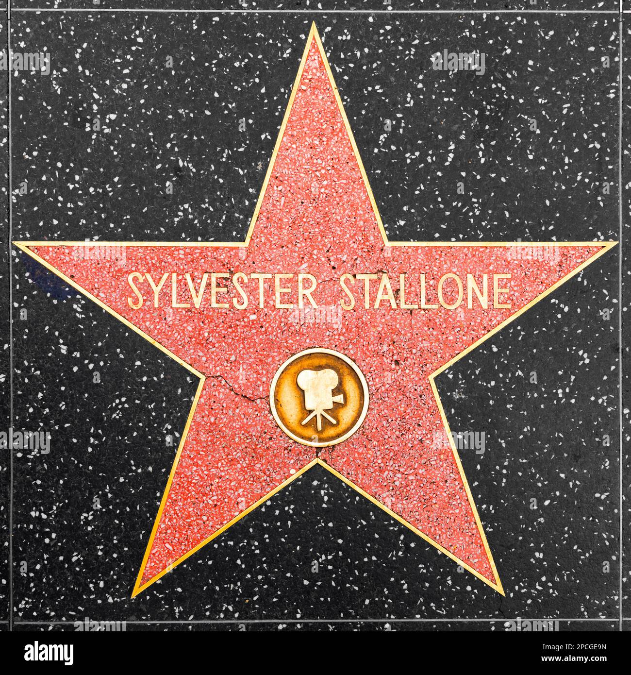 Los Angeles, USA - March 5, 2019: closeup of Star on the Hollywood Walk ...