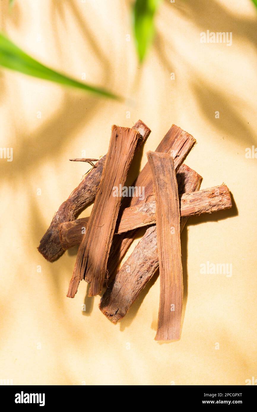 pile of bark of cat's claw medicinal plant, on yellow background top