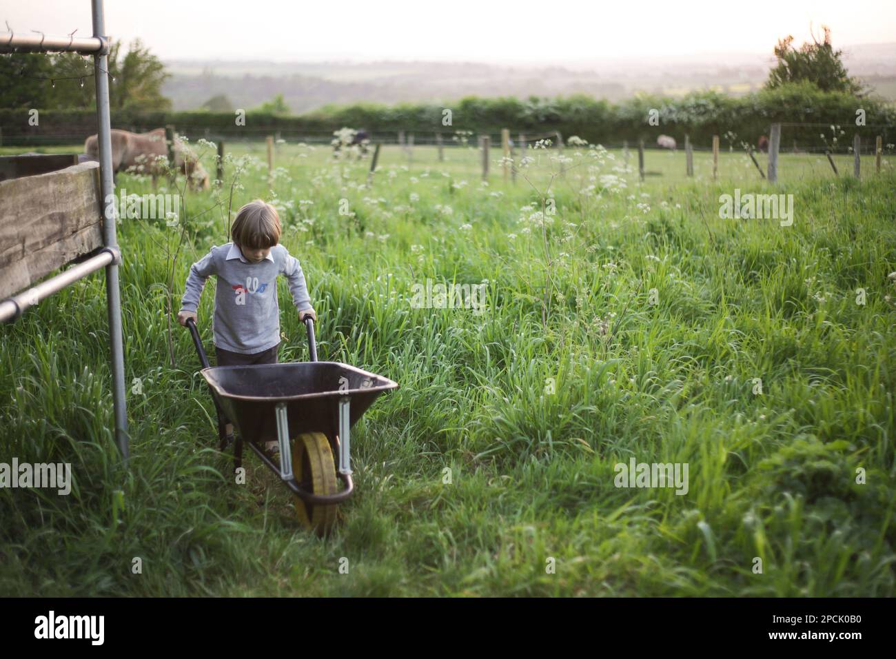 Child pushing a wheelbarrow outdoors Stock Photo