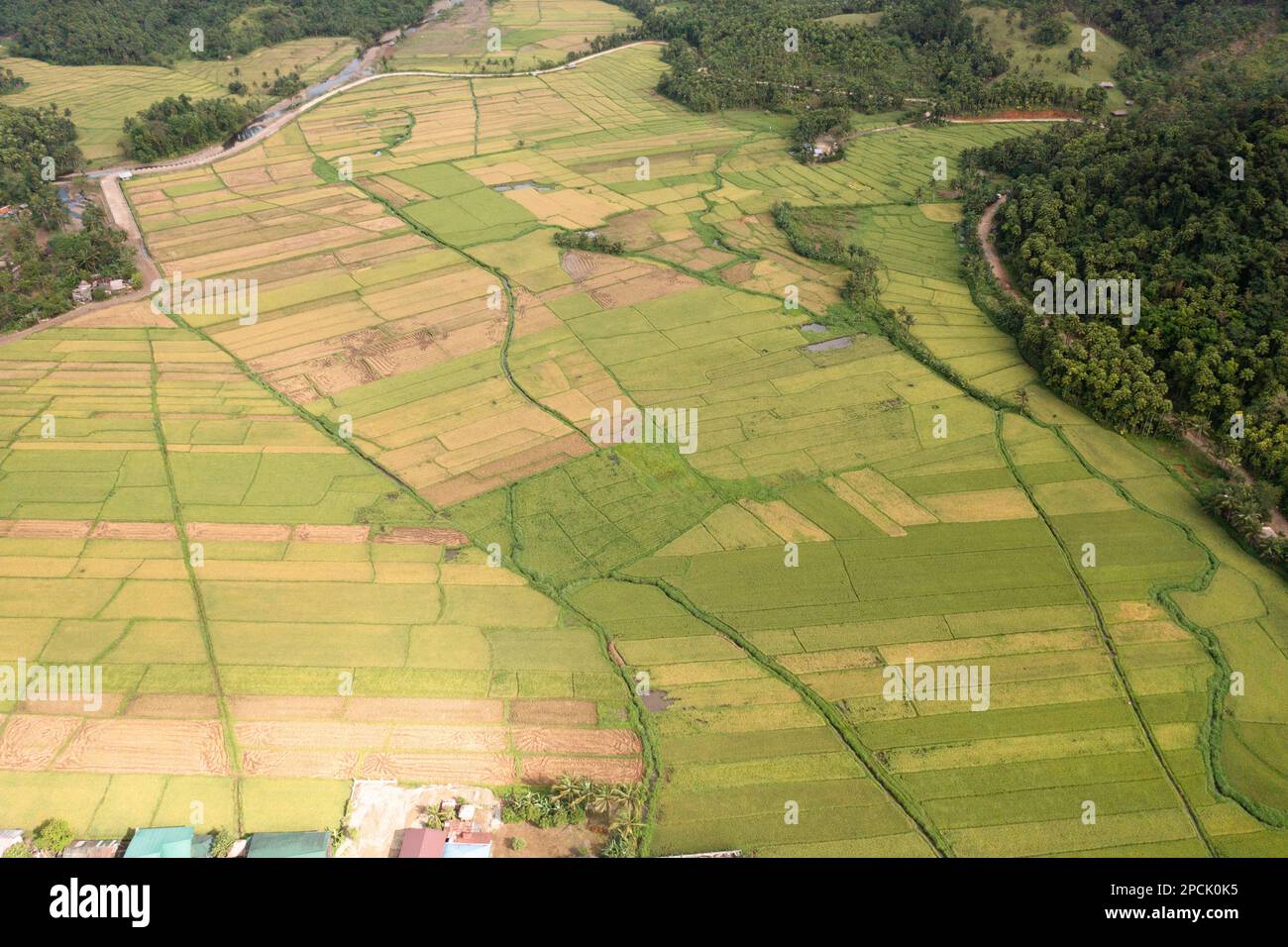 Agricultural landscape with rice plantations and farmland. Philippines