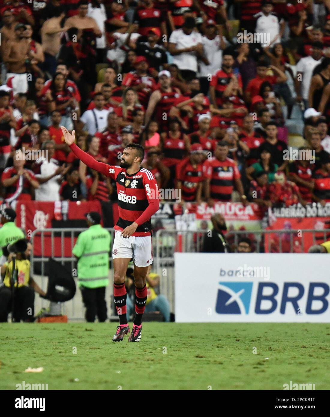 flamengo lomotif