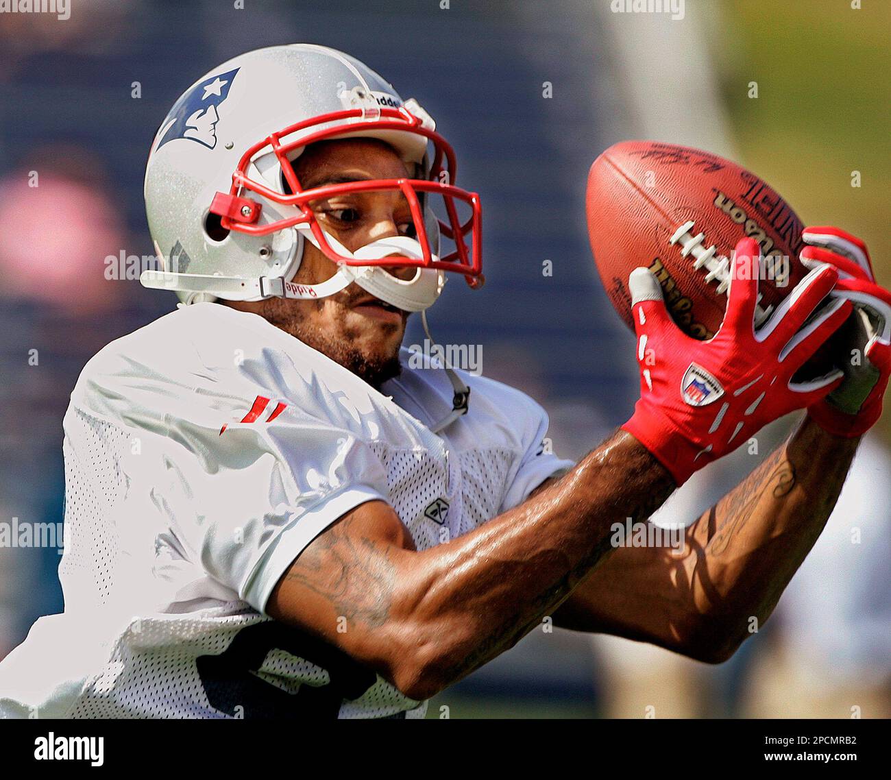 Patriots 2025 'free trainer