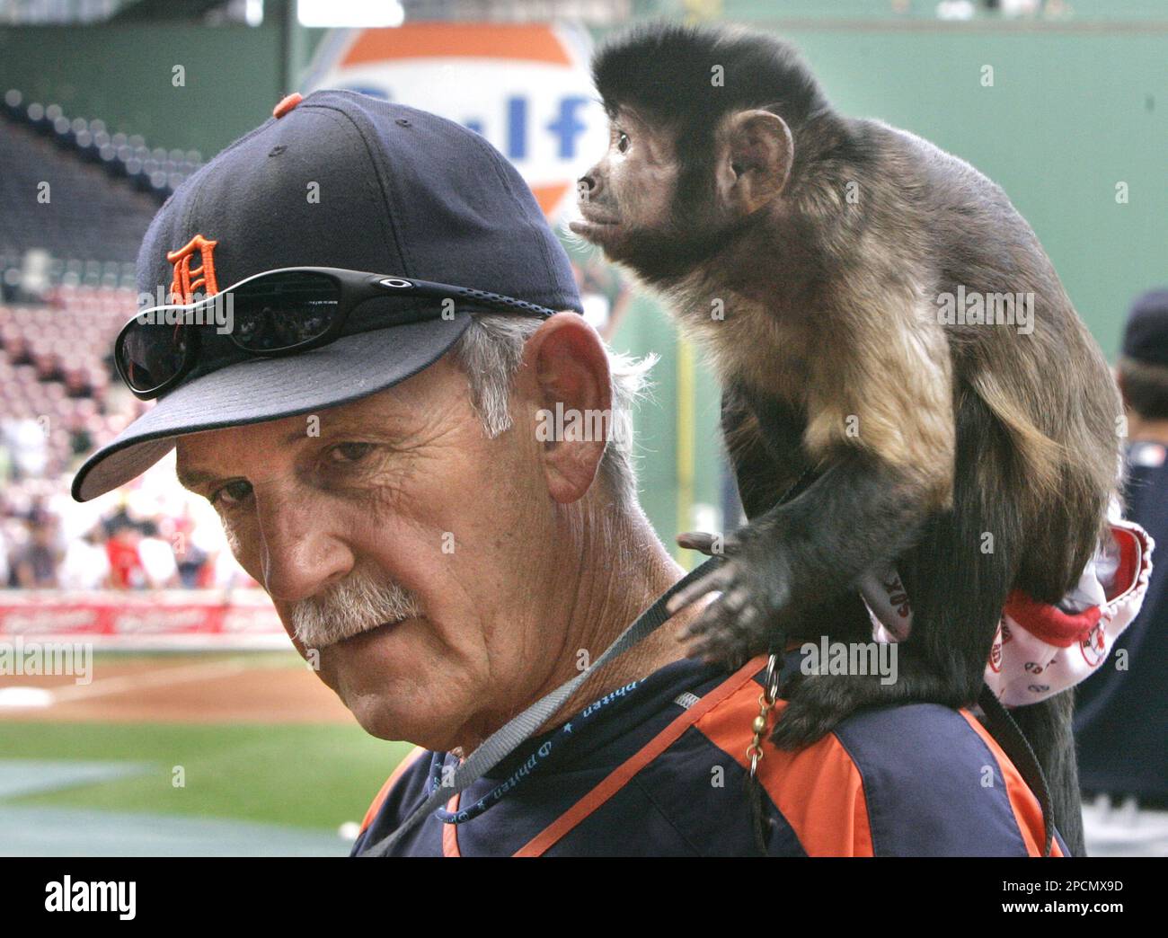 Service Monkey For Disabled