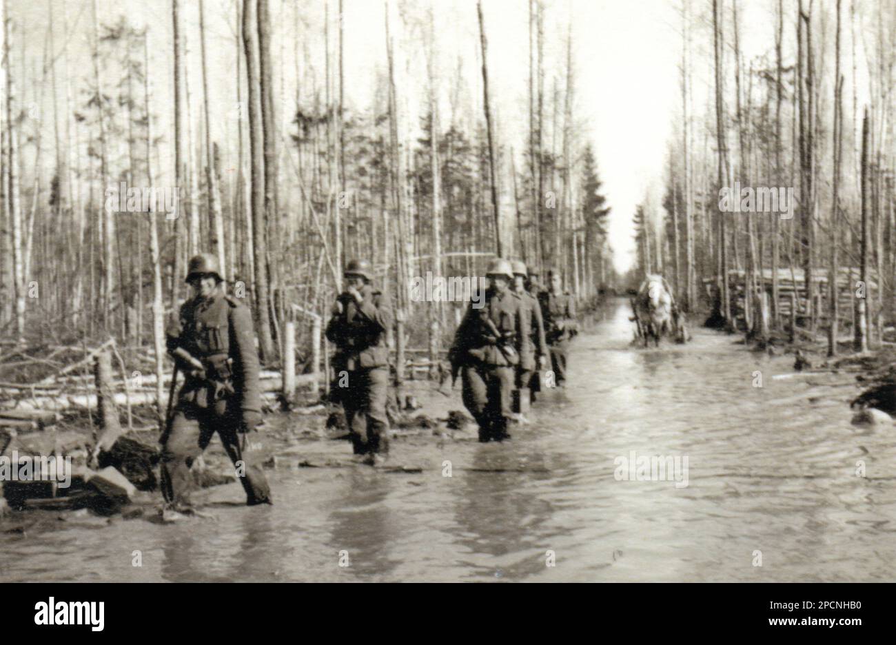 World War Two B&W photo German Soldiers wade through a flooded road in a Russian Forest . When the Snows melted in Spring they flooded Roads ,Forests, Towns and Fields. Stock Photo