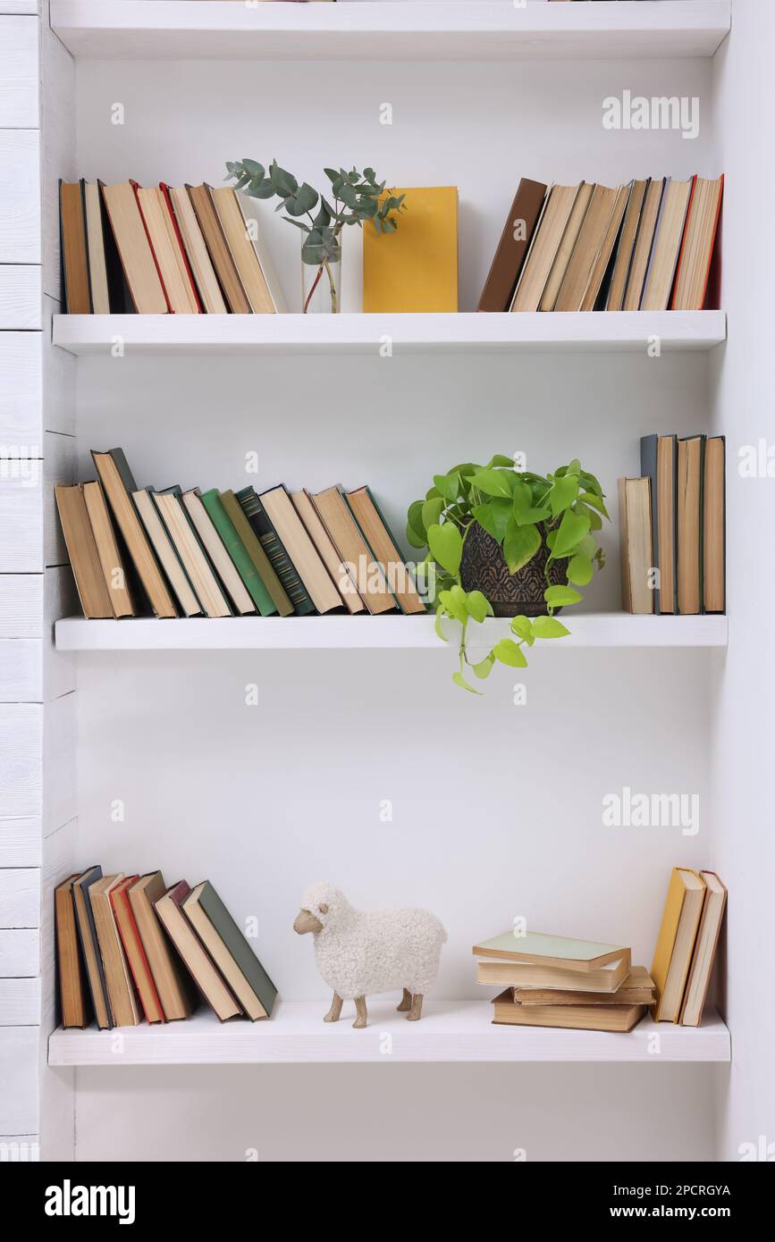 Collection of books and decor elements on shelves indoors Stock Photo