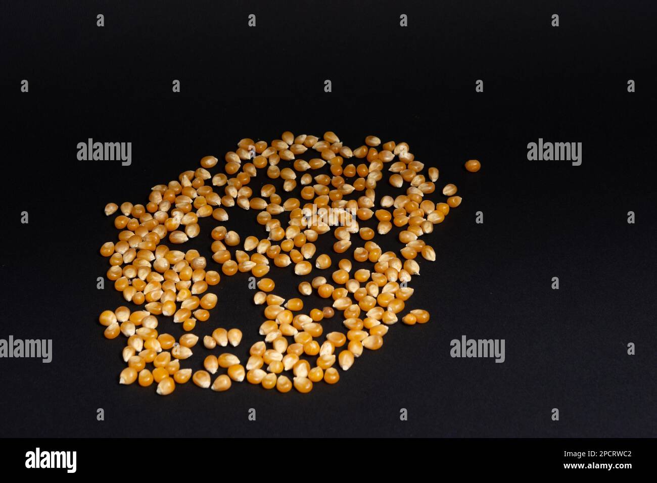 Corn grains for making popcorn on a black background. Stock Photo
