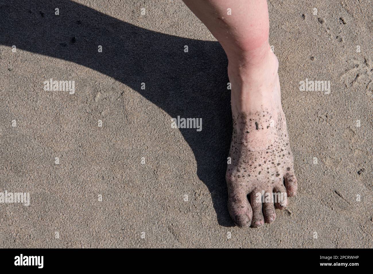 A sandy foot on the beach is casting a shadow. Stock Photo