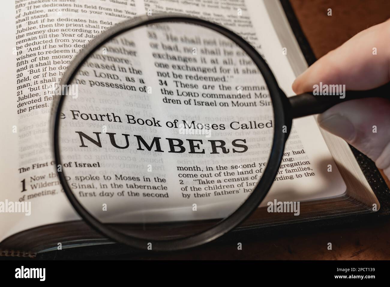 A closeup of a person holding a magnifier and reading the book of Numbers from the New Testament Stock Photo
