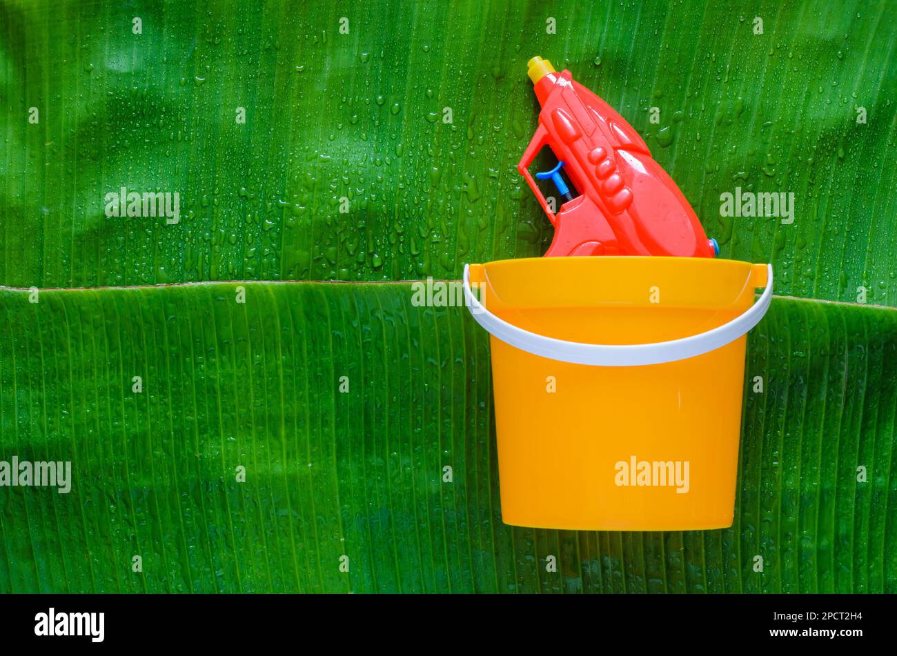 Red water gun in yellow bucket on wet banana leaf background for