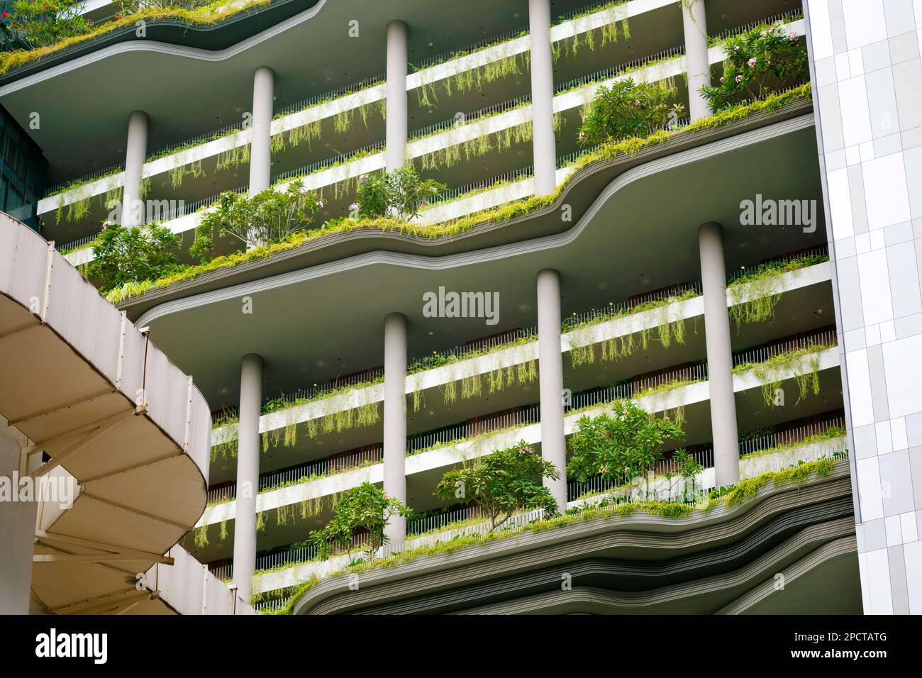 skyscraper wall with green plants terraces in Singapore city Stock