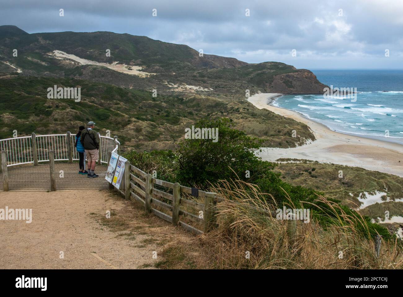 Visitors stand at a view point or scenic overlook looking out over the coastline of the Otago peninsula and Pacific ocean in New Zealand. Stock Photo