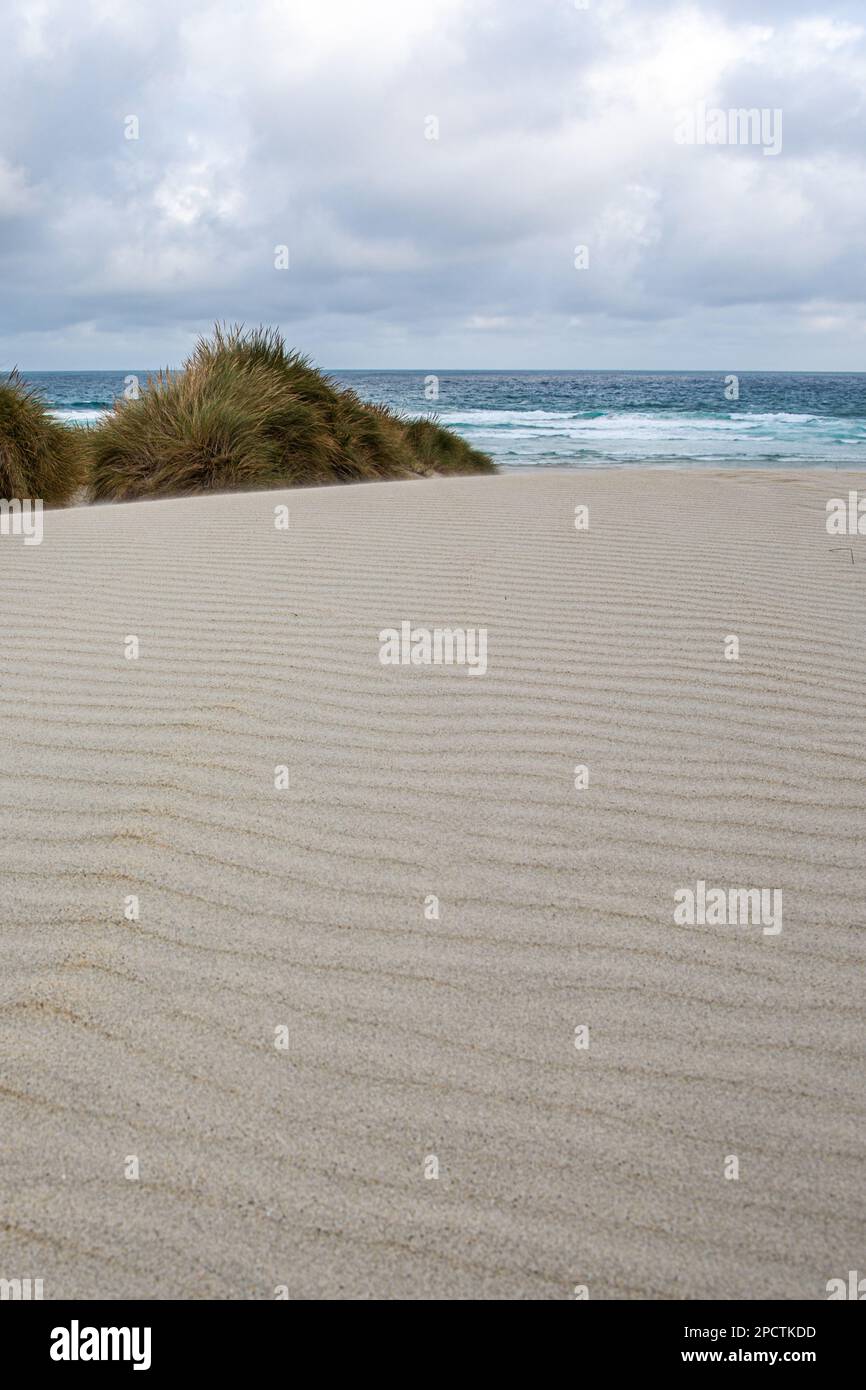 White sand dune and the patterns of ripples in the sand with the pacific ocean behind, a minimalist scene in Aotearoa New Zealand. Stock Photo