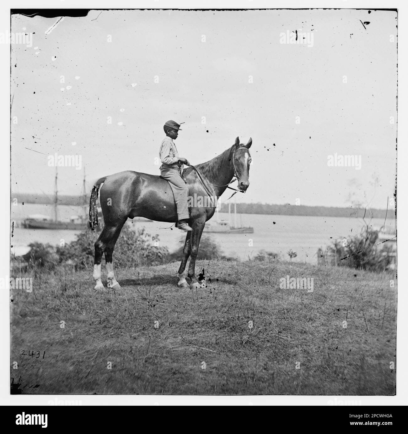 Cold Harbor, Virginia. General John A. Rawlin's horse. Civil war photographs, 1861-1865 . United States, History, Civil War, 1861-1865. Stock Photo