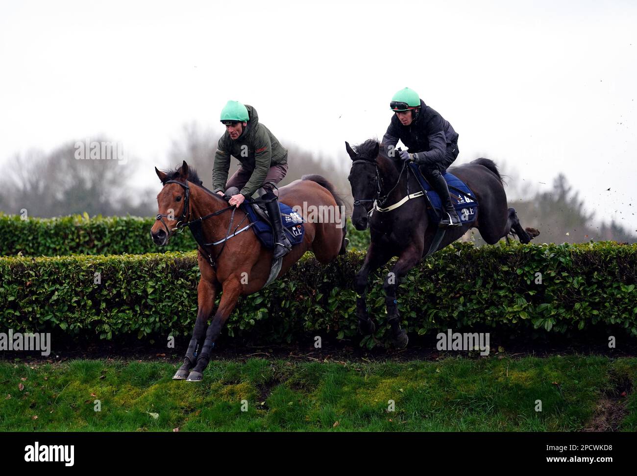 Gordon Elliott trained horse, Delta Work (right), on the gallops ahead