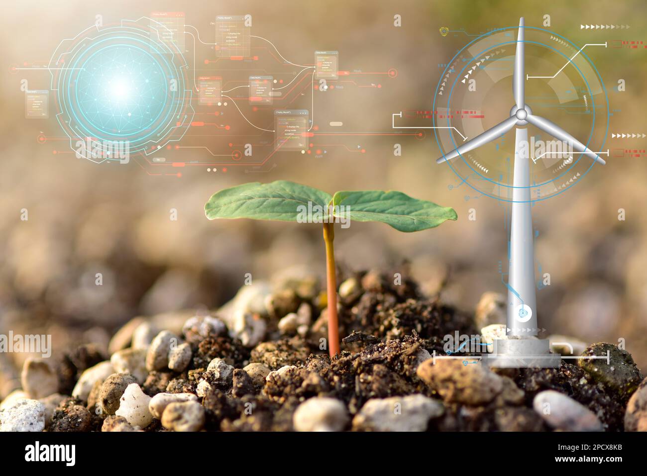 close up Seedling growing from fertile soil till morning sunlight