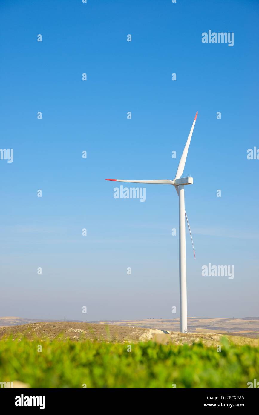 Wind turbine generator for sustainable electrical energy production in